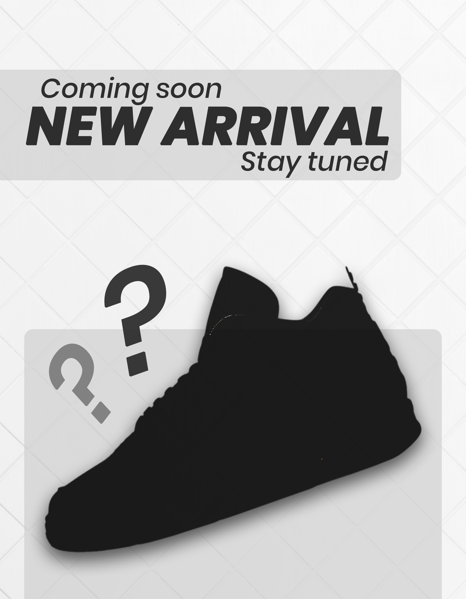 New Arrivals